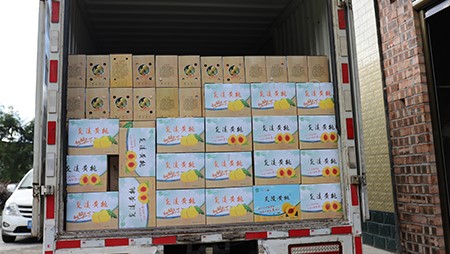助銷(xiāo)黃桃社會(huì )扶貧，關(guān)愛(ài)員工送高溫福利